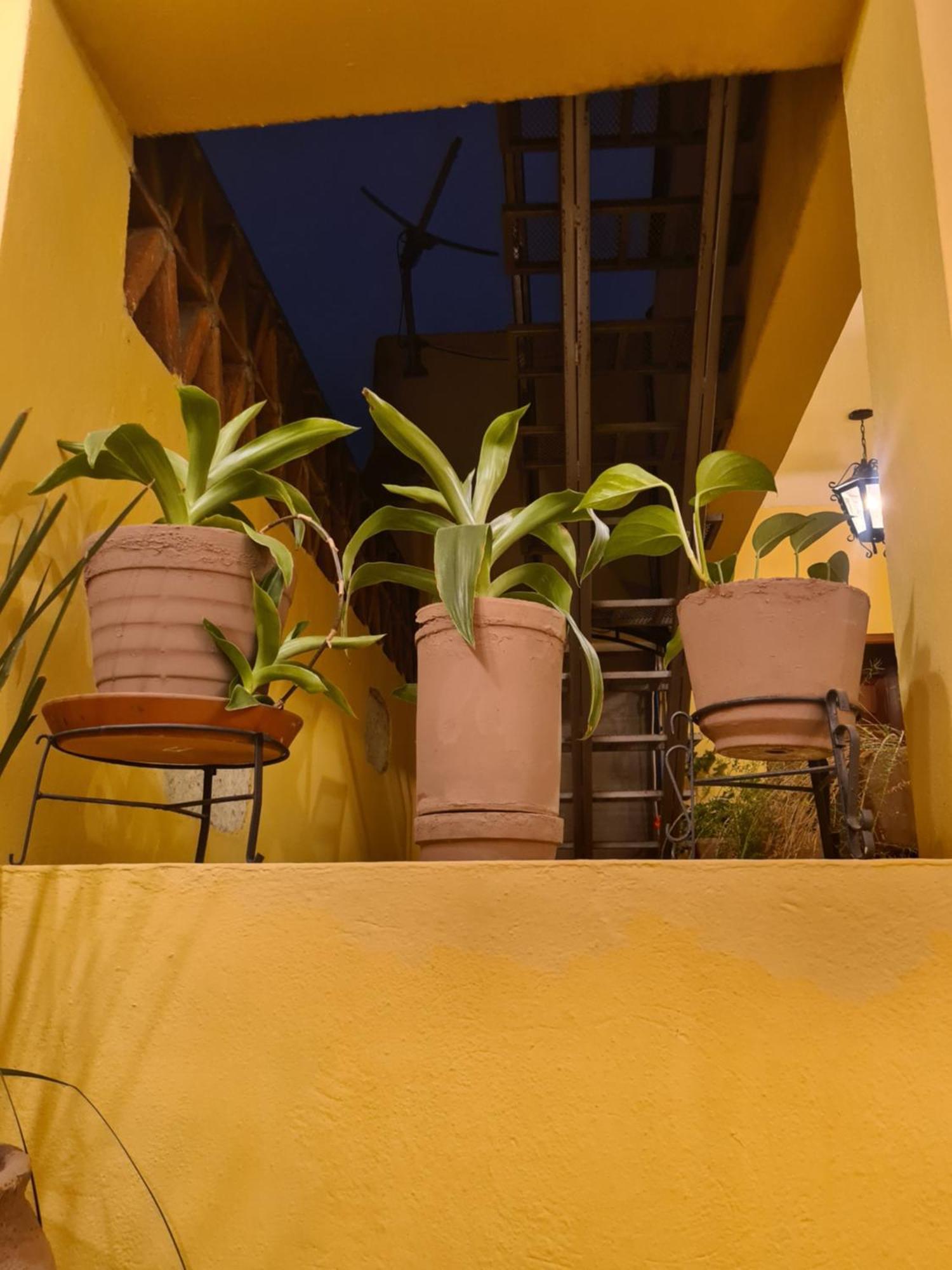 Hotel Casa Divina オアハカ州 エクステリア 写真