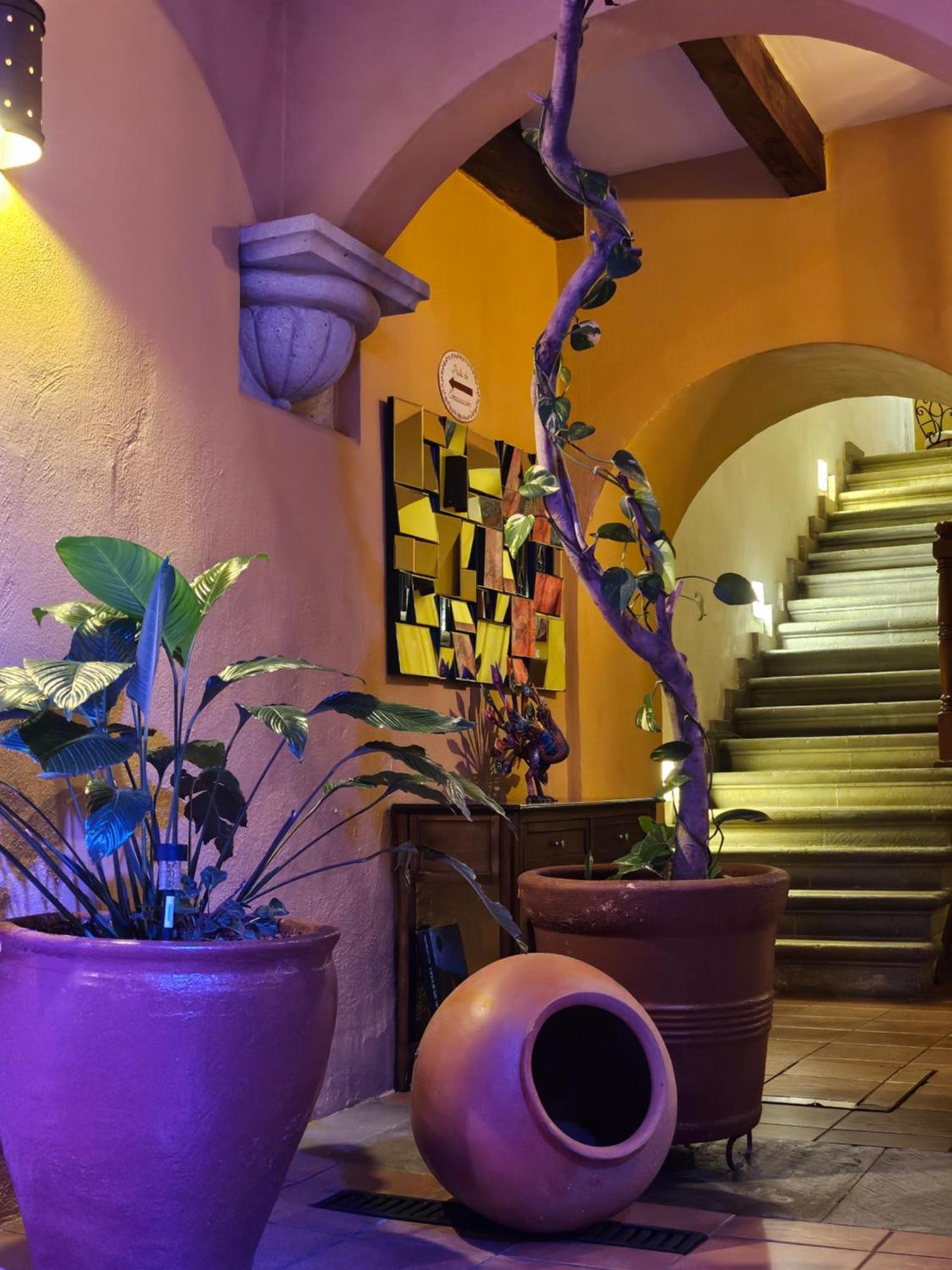 Hotel Casa Divina オアハカ州 エクステリア 写真